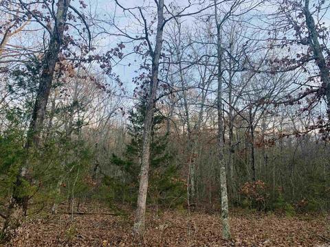 3506 Sunny Fox Rd, Mountain View, AR 72560 photo 41