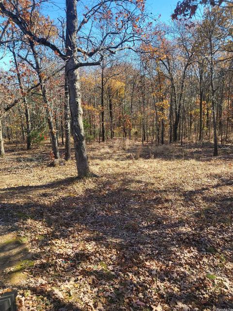 2401 Mantooth Dr, Cabot, AR 72023 photo 3
