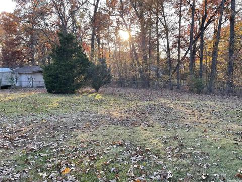 2510 Carwin Dr, Benton, AR 72015 photo 37
