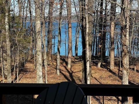 240 Silver Shrs, Drasco, AR 72530 photo 29