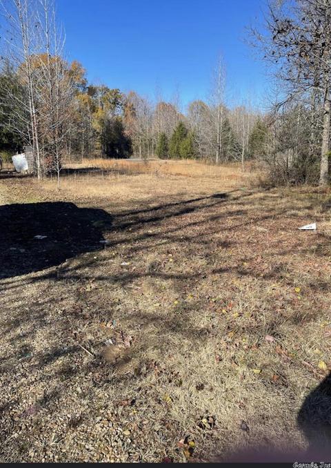 10 Zodiac Cv, Conway, AR 72032 photo 5