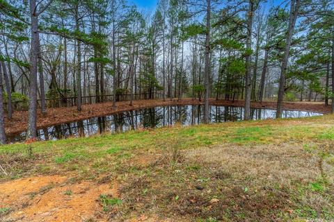2821 Henderson Rd, Clinton, AR 72031 photo 41