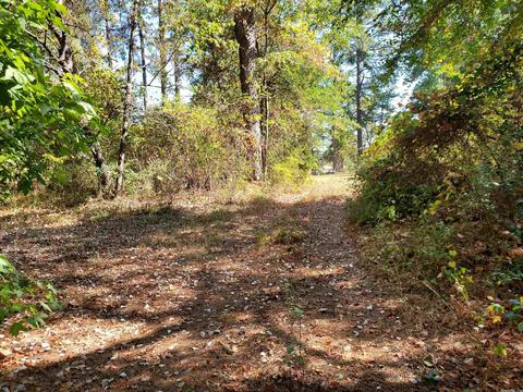 2756 Pine Bluff St, Malvern, AR 72104 photo 48