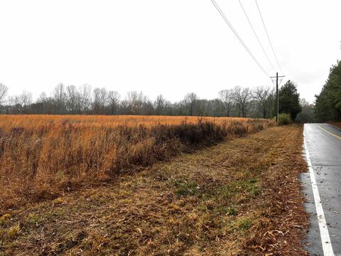 14 Blackfork Rd, Greenbrier, AR 72058 photo 2
