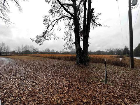 14 Blackfork Rd, Greenbrier, AR 72058 photo 3