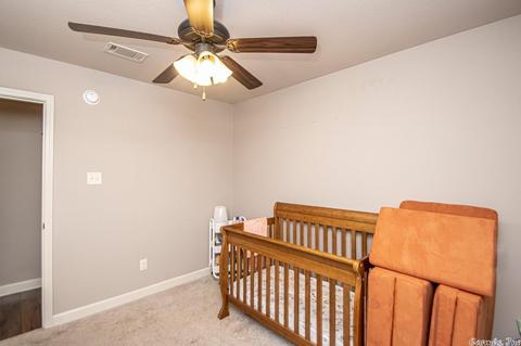 15 Winchester Dr, Austin, AR 72007 photo 27