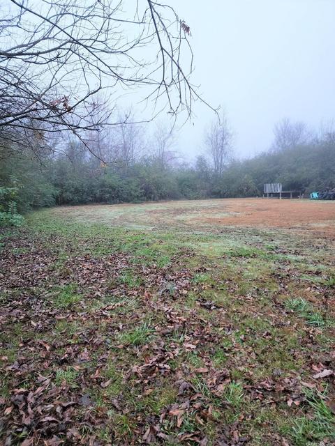 1001 S Eve St, Mena, AR 71953 photo 13