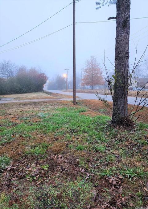 1001 S Eve St, Mena, AR 71953 photo 14