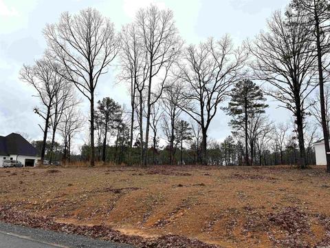 2965 Orchard View Dr, Conway, AR 72034 photo 1