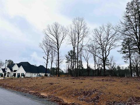 2965 Orchard View Dr, Conway, AR 72034 photo 2