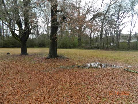 240 E Main St, Sparkman, AR 71763 photo 11