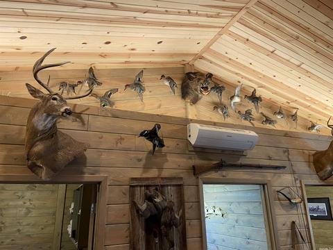 372 Brown Acres Rd, Des Arc, AR 72040 photo 14