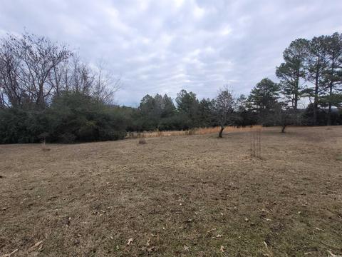 161 Jumbo Rd, Melbourne, AR 72556 photo 11