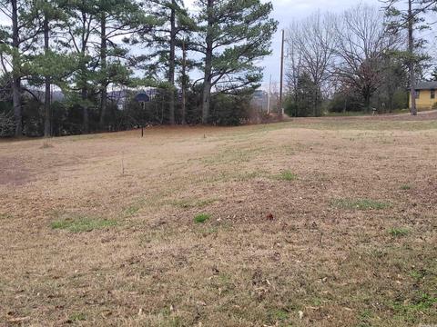 161 Jumbo Rd, Melbourne, AR 72556 photo 12