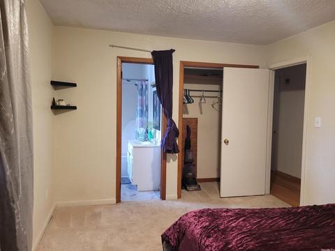 161 Jumbo Rd, Melbourne, AR 72556 photo 22