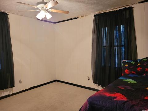 161 Jumbo Rd, Melbourne, AR 72556 photo 26