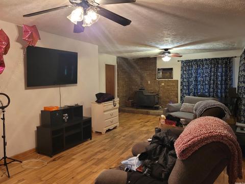 161 Jumbo Rd, Melbourne, AR 72556 photo 14