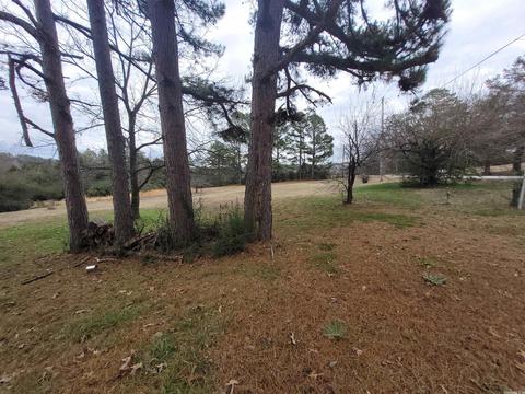 161 Jumbo Rd, Melbourne, AR 72556 photo 9