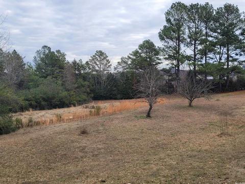 161 Jumbo Rd, Melbourne, AR 72556 photo 6