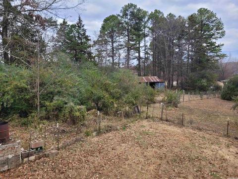 161 Jumbo Rd, Melbourne, AR 72556 photo 8
