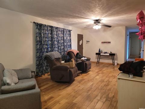 161 Jumbo Rd, Melbourne, AR 72556 photo 15