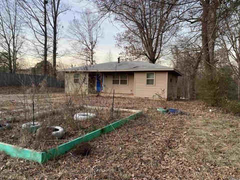 12724 Packer Dr, Alexander, AR 72002 photo 3