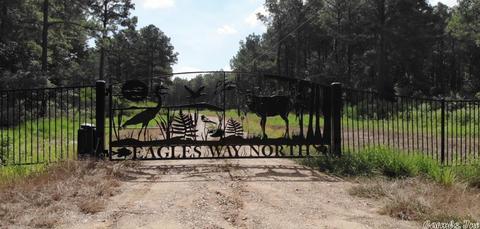 000 Whippoorwill Dr, Lewisville, AR 71845