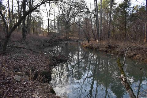 13297 Graham Creek Rd, Plainview, AR 72857 photo 13