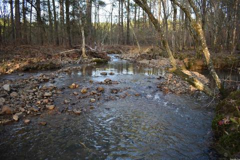 13297 Graham Creek Rd, Plainview, AR 72857 photo 14