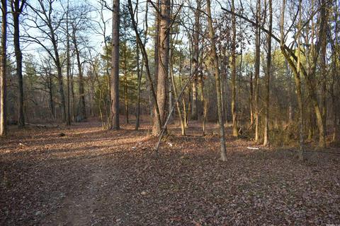13297 Graham Creek Rd, Plainview, AR 72857 photo 17
