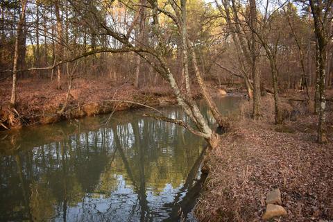 13297 Graham Creek Rd, Plainview, AR 72857 photo 12
