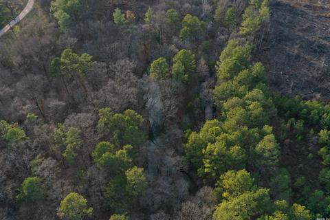 13297 Graham Creek Rd, Plainview, AR 72857 photo 3