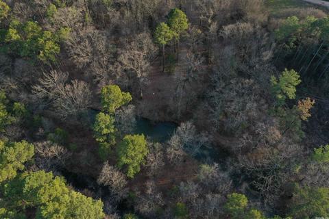 13297 Graham Creek Rd, Plainview, AR 72857 photo 5