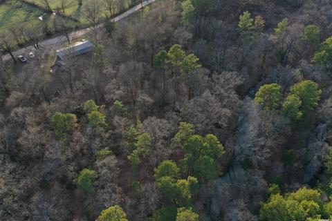 13297 Graham Creek Rd, Plainview, AR 72857 photo 4