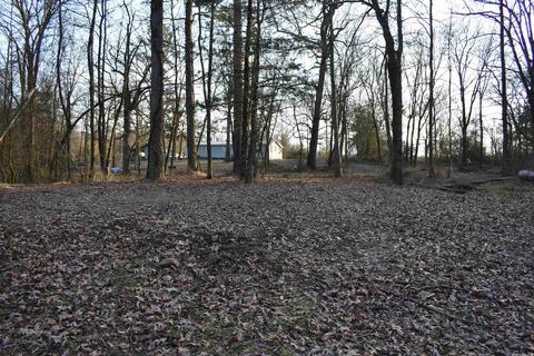 13297 Graham Creek Rd, Plainview, AR 72857 photo 16