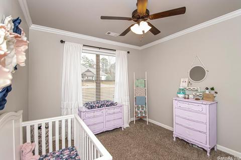 6083 Kamden Cv, Alexander, AR 72002 photo 24