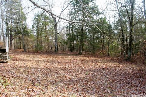 6560 Luber Rd, Mountain View, AR 72560 photo 31