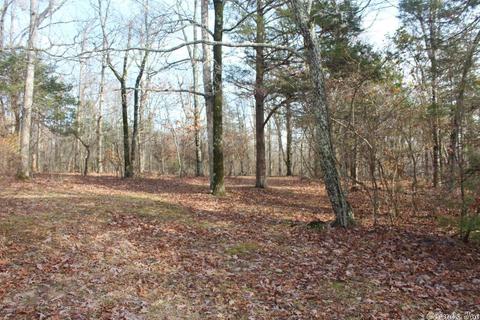 6560 Luber Rd, Mountain View, AR 72560 photo 32