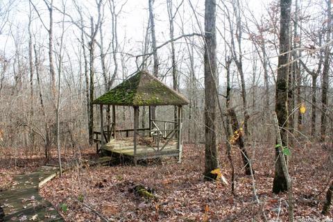 6560 Luber Rd, Mountain View, AR 72560 photo 35