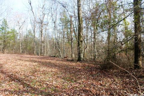 6560 Luber Rd, Mountain View, AR 72560 photo 34