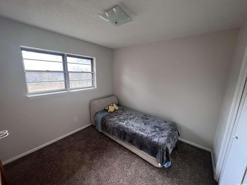 3620 Shamrock, Pine Bluff, AR 71603 photo 4