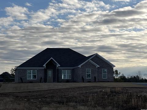 10664 Gunter Loop, Benton, AR 72019 photo 3