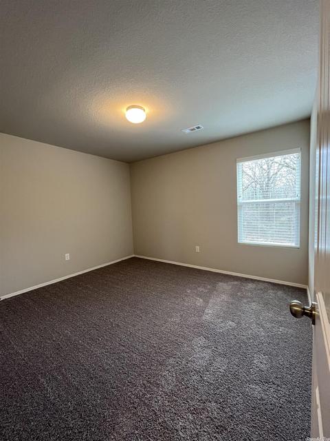 28 Spring Ridge Ln, Conway, AR 72032 photo 19