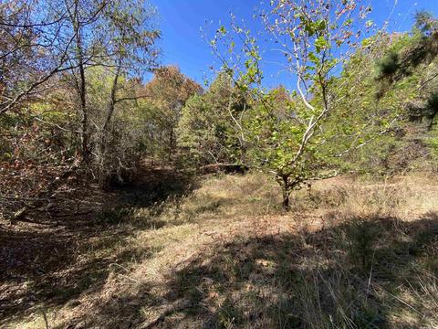64 Stoney Point Dr, Drasco, AR 72530 photo 12