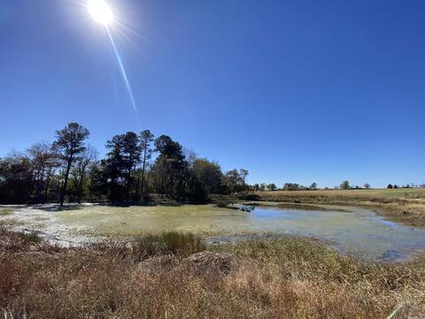 64 Stoney Point Dr, Drasco, AR 72530 photo 10