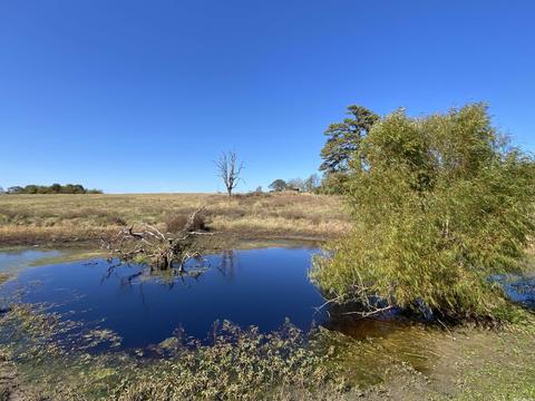 64 Stoney Point Dr, Drasco, AR 72530 photo 5