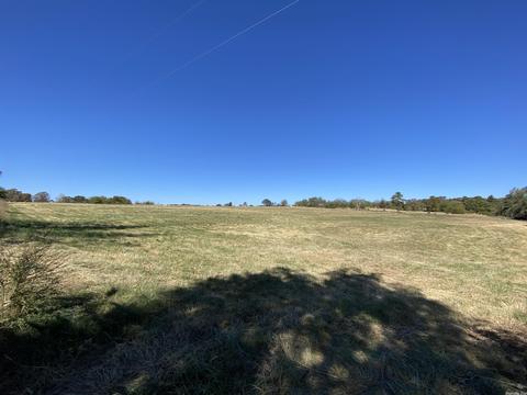 64 Stoney Point Dr, Drasco, AR 72530 photo 6