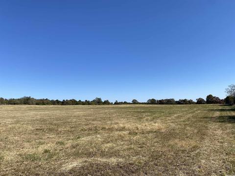 64 Stoney Point Dr, Drasco, AR 72530 photo 2
