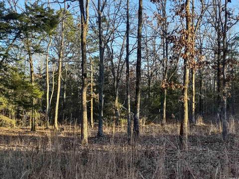 35 Dreamers Ln, Conway, AR 72032 photo 6