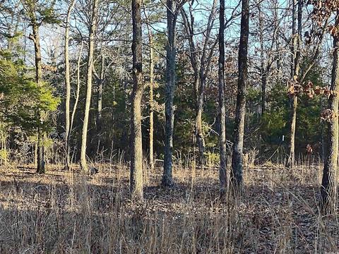 35 Dreamers Ln, Conway, AR 72032 photo 4